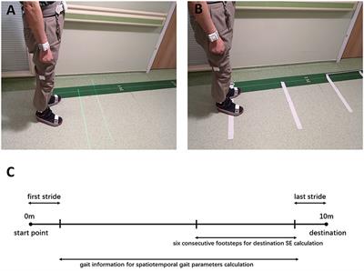 Transverse Strips Instead of Wearable Laser Lights Alleviate the Sequence Effect Toward a Destination in Parkinson's Disease Patients With Freezing of Gait